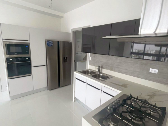 Piantini Kitchen 01