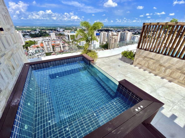 Piantini Swimming Pool 01