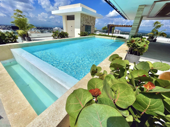 Piantini Swimming Pool 04