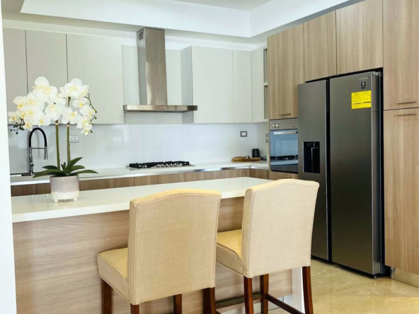 Apartement Santiago Kitchen 01