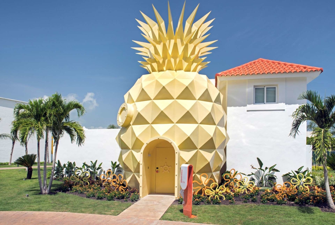 The Pineapple Entry