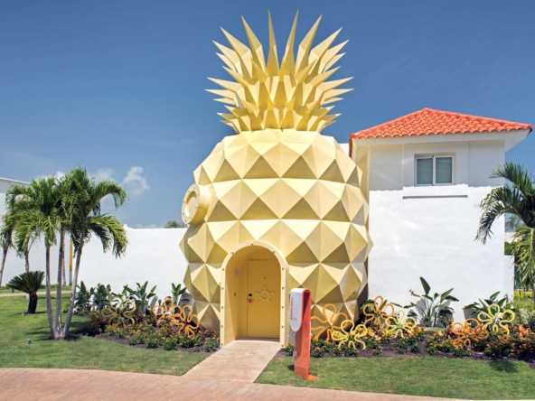 The Pineapple Entry