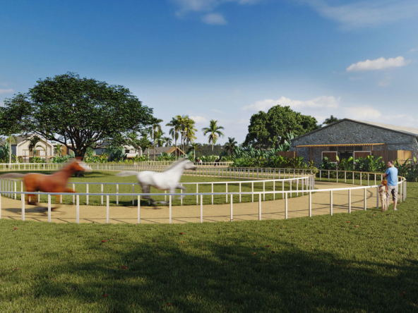 Villa Punta Cana Outside 03