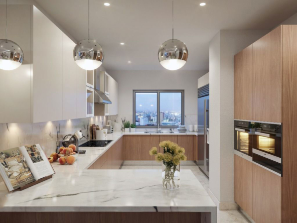 Tower Naco Santo Domingo Kitchen